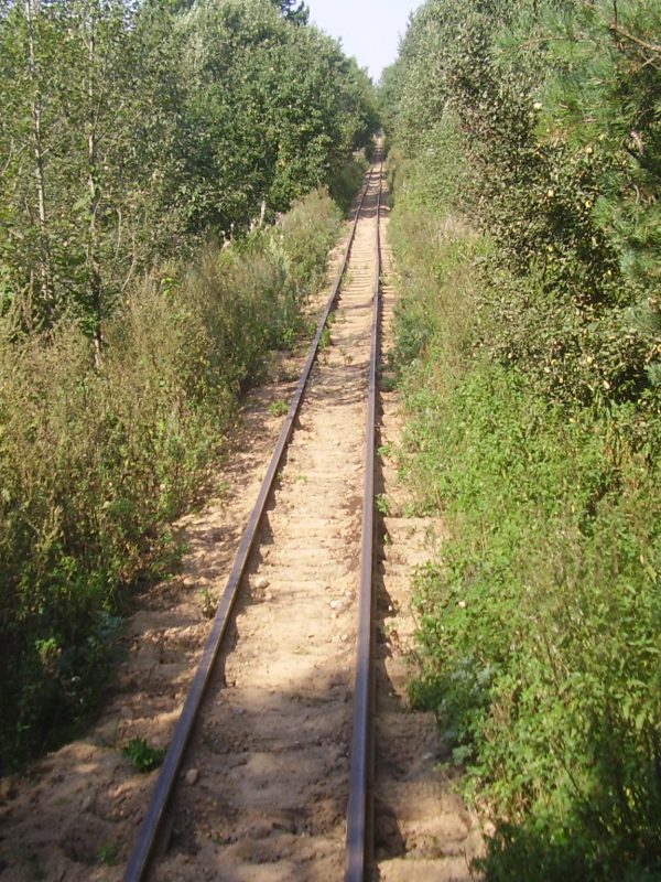 olympus-digital-camera