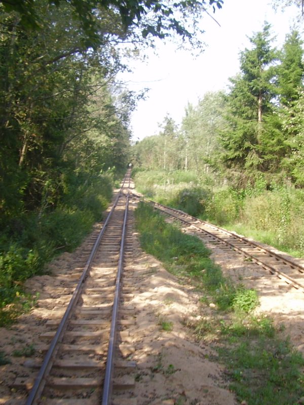 olympus-digital-camera