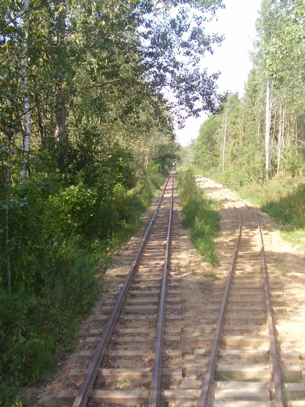 olympus-digital-camera