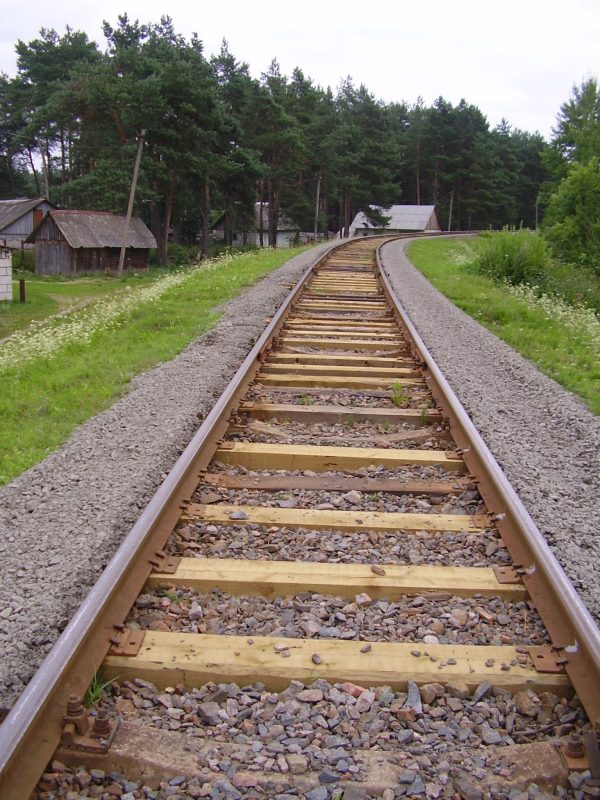 olympus-digital-camera