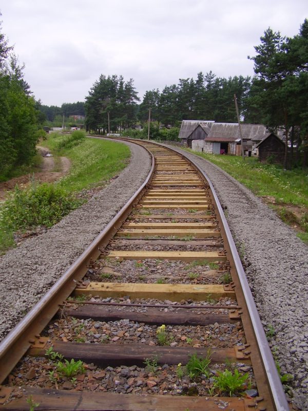 olympus-digital-camera