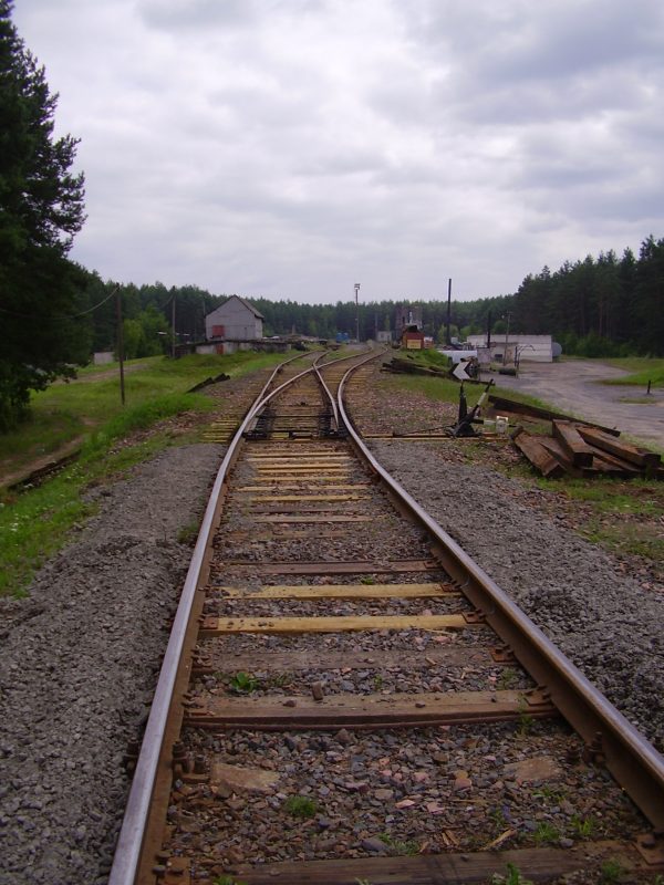 olympus-digital-camera