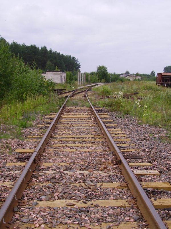 olympus-digital-camera