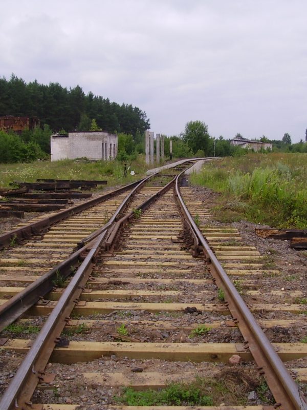 olympus-digital-camera